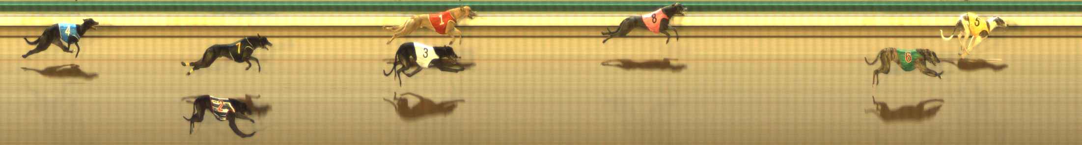 Photo finish for The Meadows Race 12