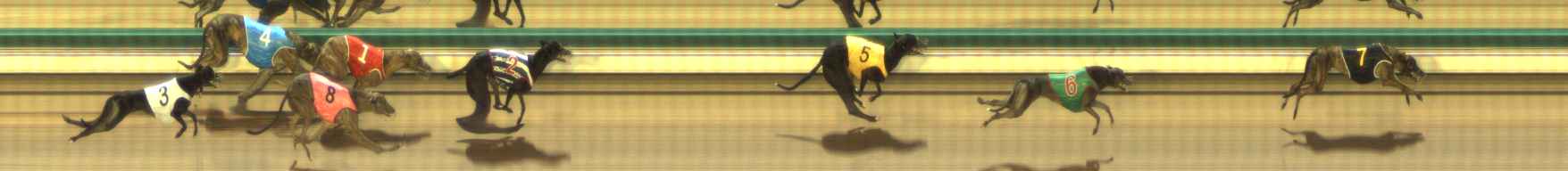 Photo finish for The Meadows Race 1