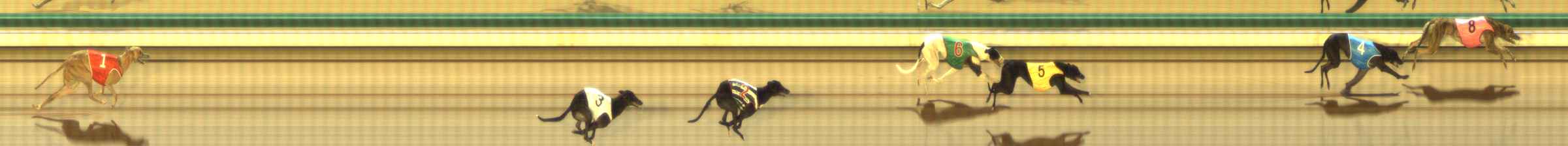 Photo finish for The Meadows Race 2