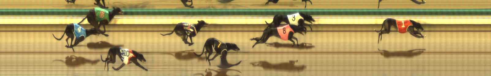 Photo finish for The Meadows Race 3