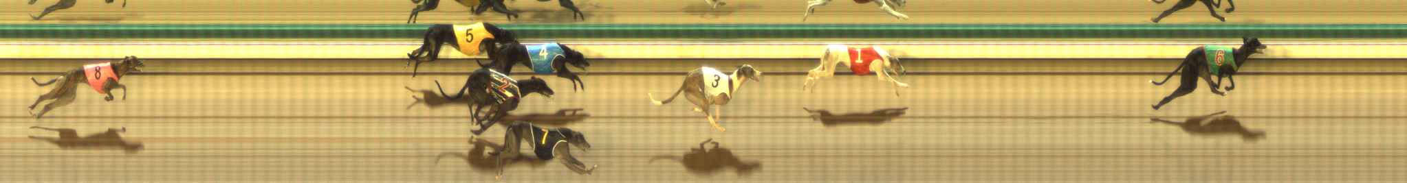 Photo finish for The Meadows Race 4