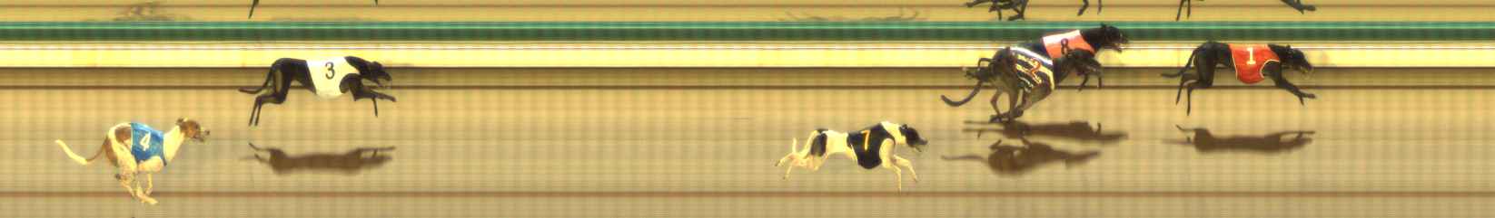 Photo finish for The Meadows Race 5