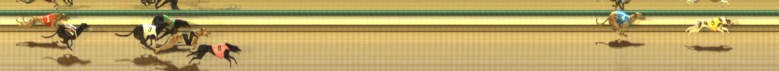 Photo finish for The Meadows Race 6