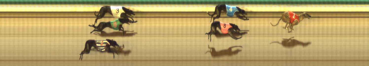 Photo finish for The Meadows Race 7