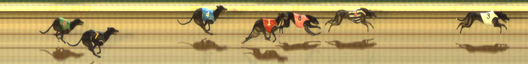 Photo finish for The Meadows Race 8