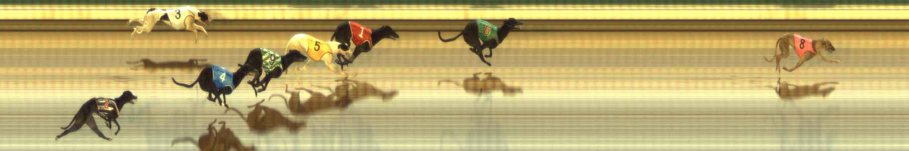 Photo finish for The Meadows Race 9