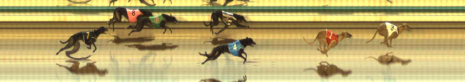 Photo finish for The Meadows Race 10