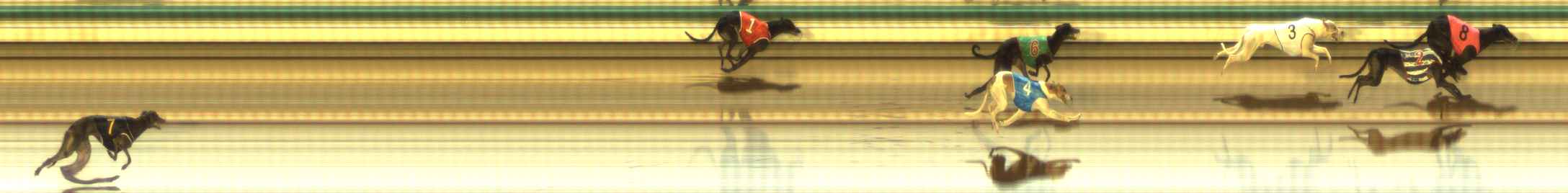 Photo finish for The Meadows Race 11