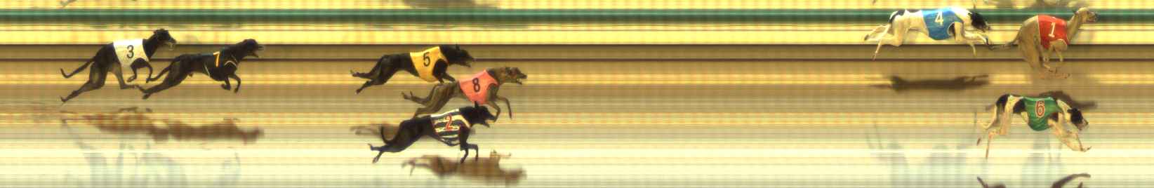 Photo finish for The Meadows Race 12