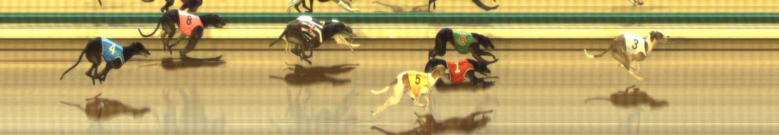 Photo finish for The Meadows Race 1