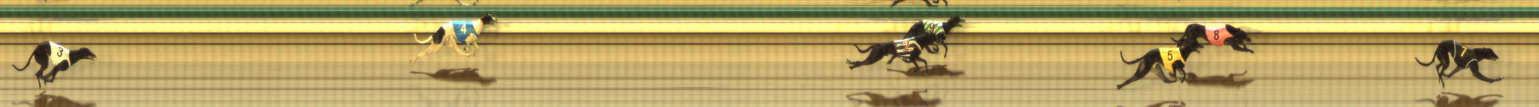 Photo finish for The Meadows Race 2