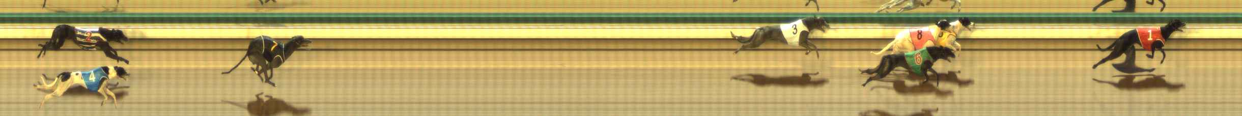 Photo finish for The Meadows Race 3
