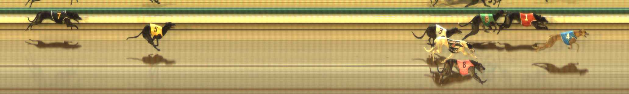 Photo finish for The Meadows Race 4