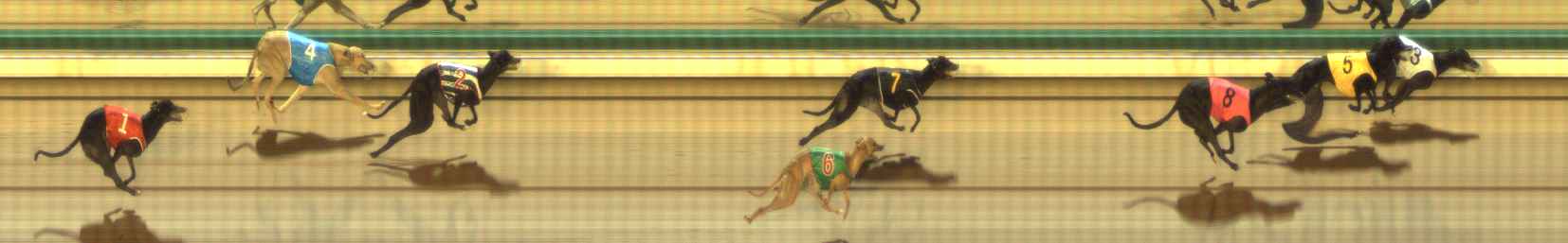 Photo finish for The Meadows Race 5