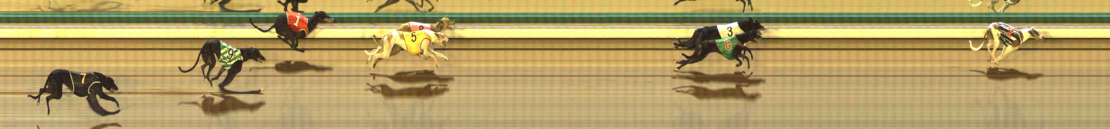 Photo finish for The Meadows Race 6