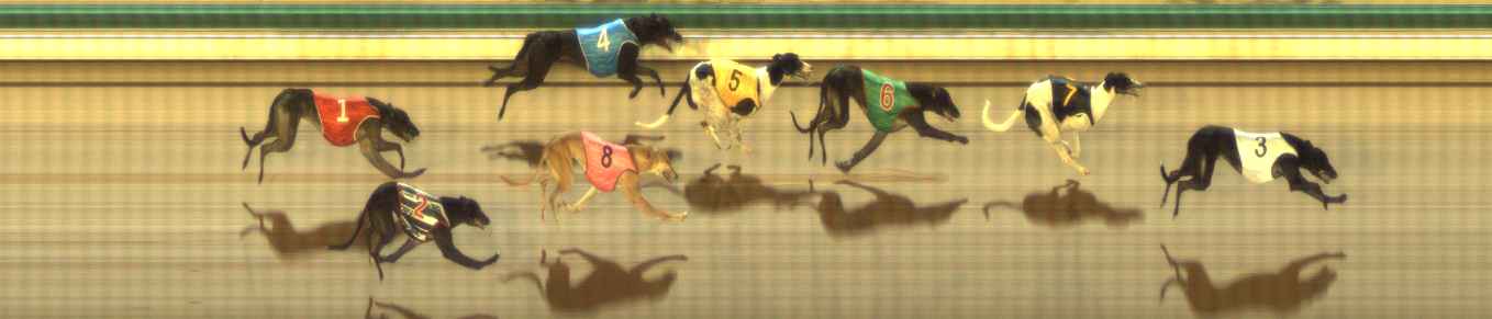 Photo finish for The Meadows Race 7