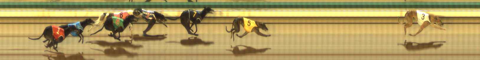Photo finish for The Meadows Race 8
