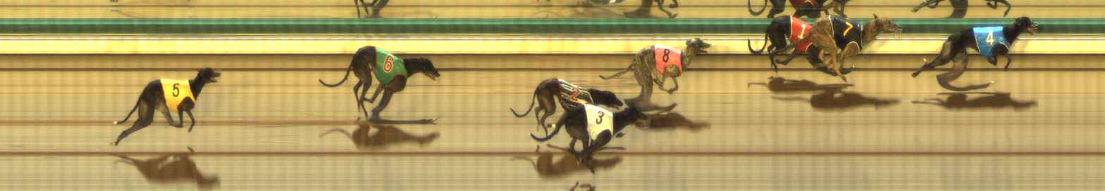 Photo finish for The Meadows Race 9