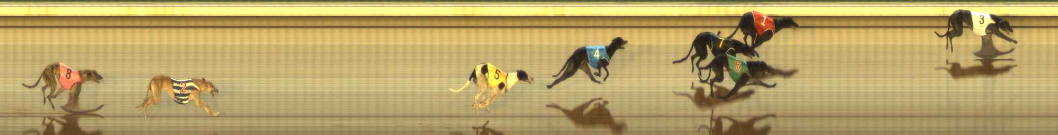 Photo finish for The Meadows Race 10