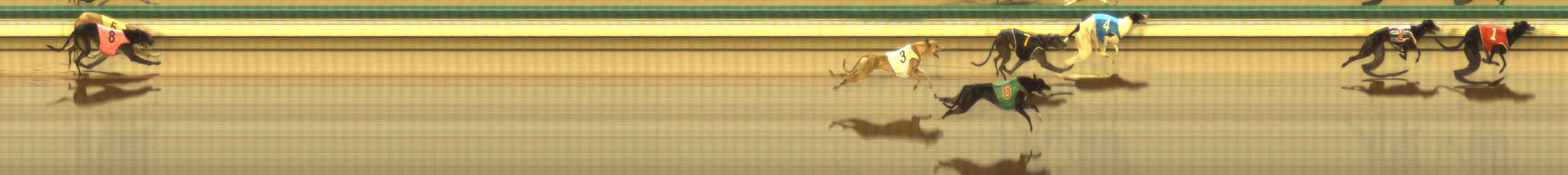 Photo finish for The Meadows Race 11