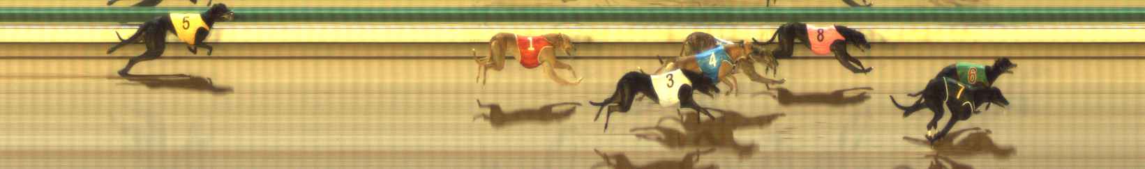 Photo finish for The Meadows Race 12