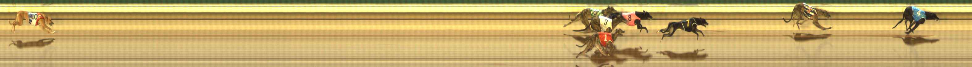 Photo finish for The Meadows Race 1