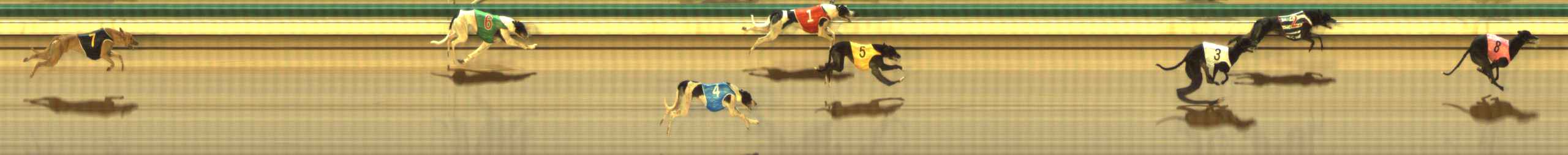Photo finish for The Meadows Race 2