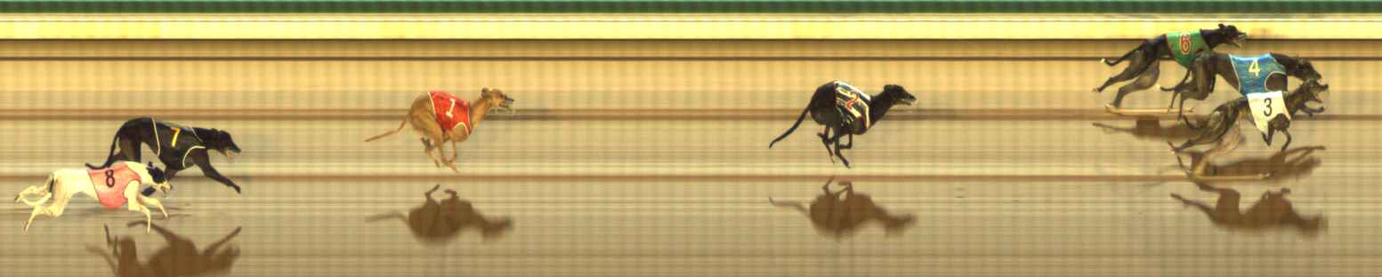 Photo finish for The Meadows Race 4