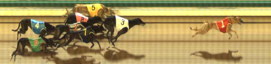 Photo finish for The Meadows Race 5