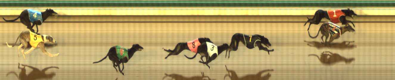 Photo finish for The Meadows Race 6