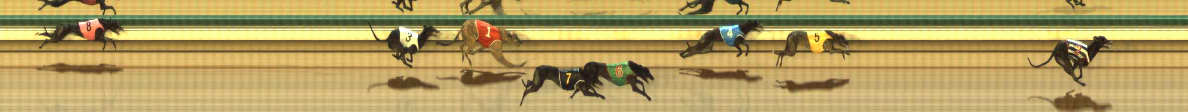 Photo finish for The Meadows Race 7