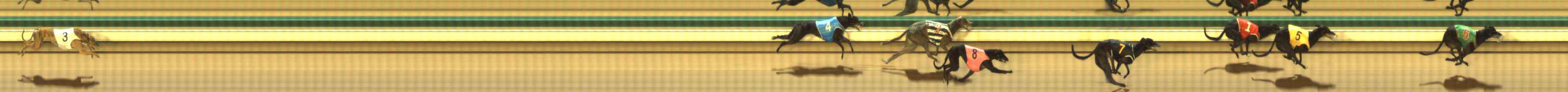 Photo finish for The Meadows Race 9