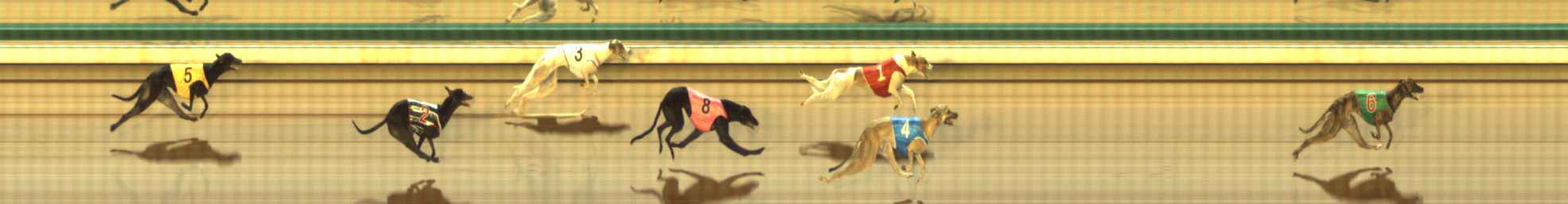 Photo finish for The Meadows Race 10