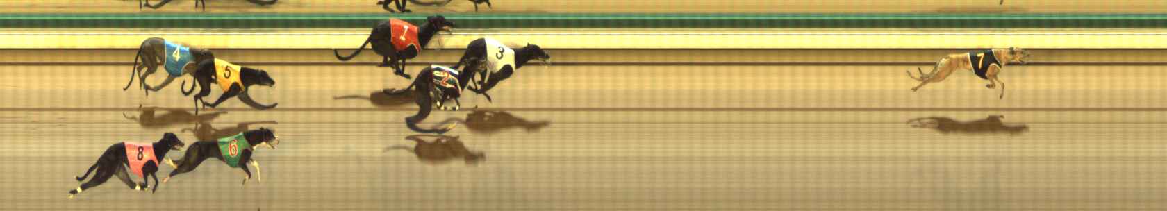 Photo finish for The Meadows Race 11