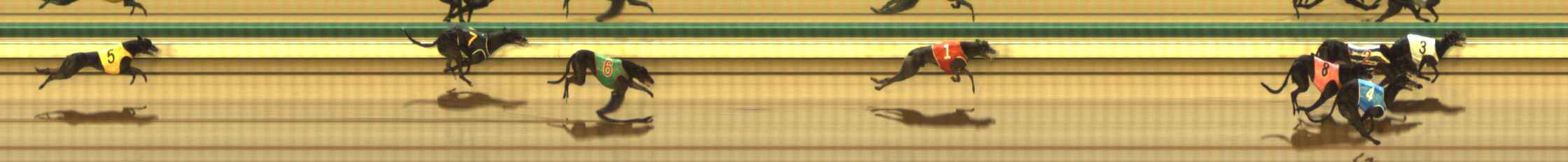 Photo finish for The Meadows Race 12