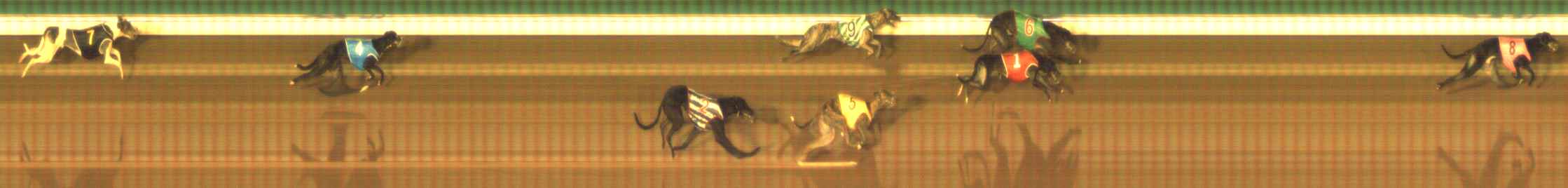 Photo finish for The Meadows Race 2