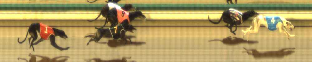 Photo finish for The Meadows Race 3