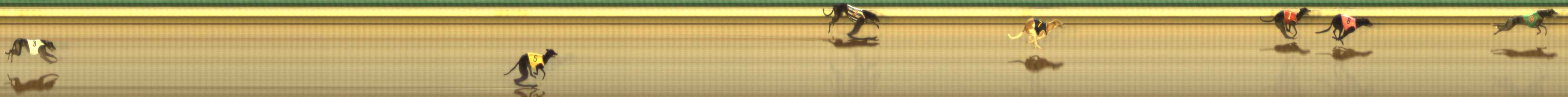 Photo finish for The Meadows Race 4