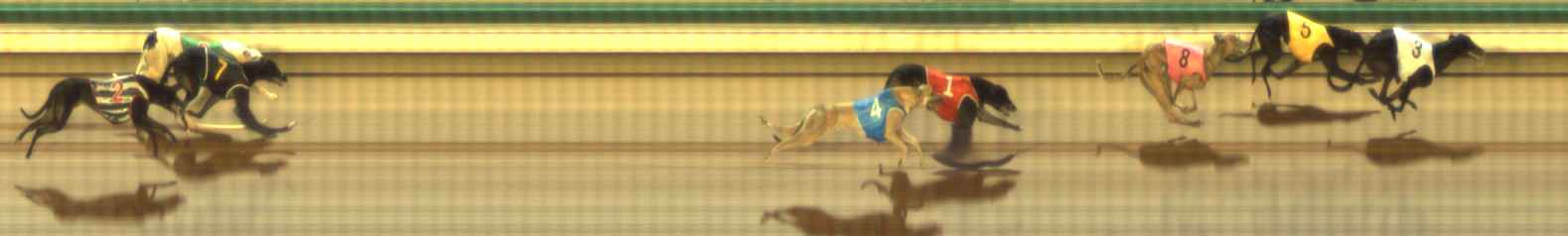 Photo finish for The Meadows Race 5
