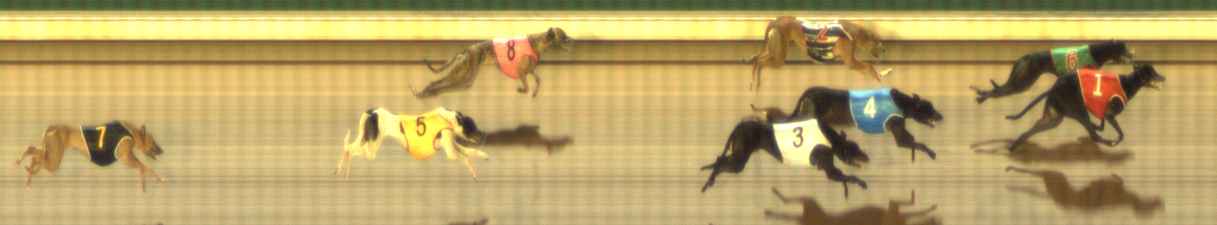 Photo finish for The Meadows Race 6