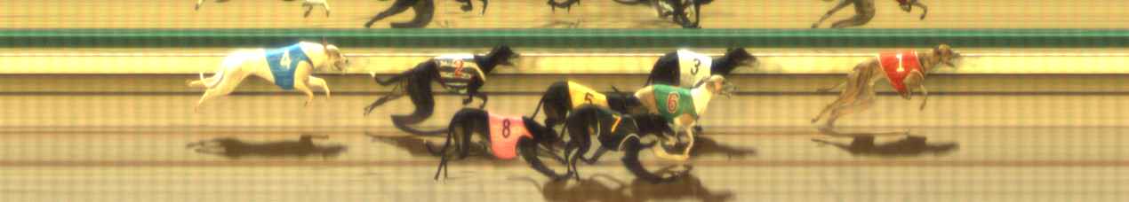 Photo finish for The Meadows Race 7