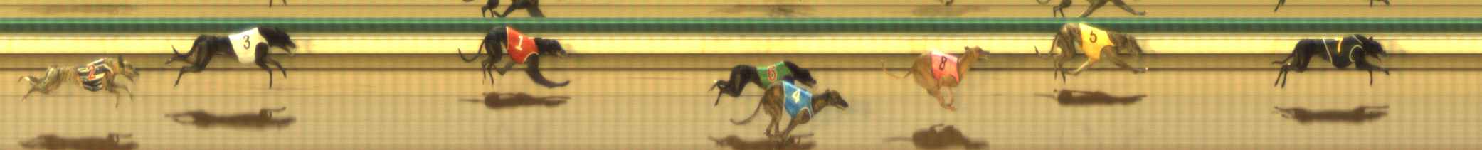 Photo finish for The Meadows Race 8