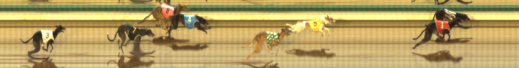 Photo finish for The Meadows Race 9