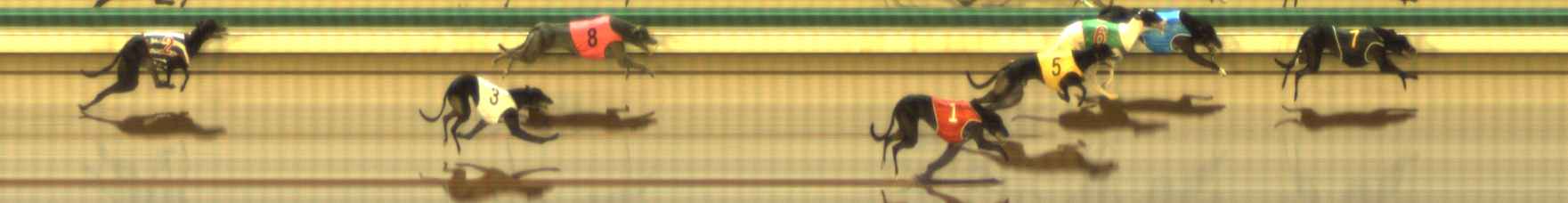 Photo finish for The Meadows Race 10