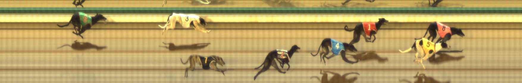 Photo finish for The Meadows Race 11