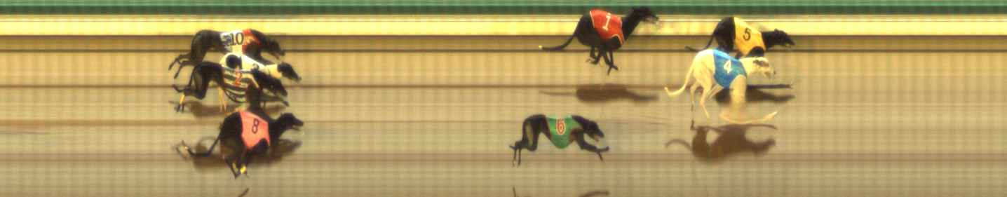 Photo finish for The Meadows Race 12