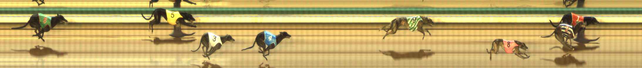 Photo finish for The Meadows Race 1