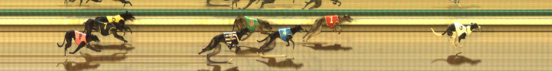 Photo finish for The Meadows Race 2
