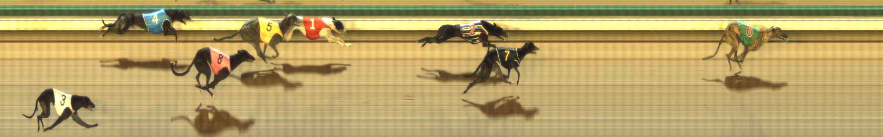 Photo finish for The Meadows Race 3