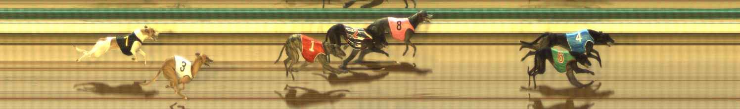 Photo finish for The Meadows Race 4